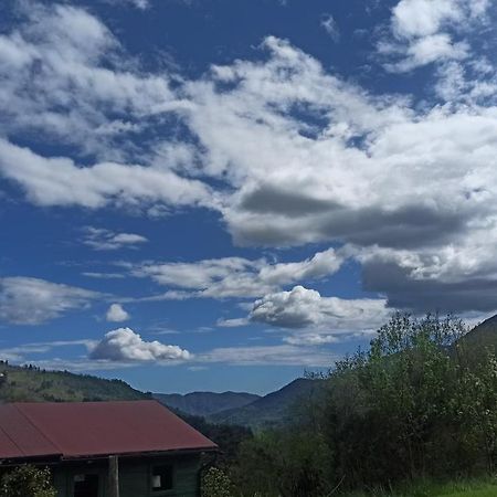 Agriturismo Il Mulino Stibiveri Ngoại thất bức ảnh