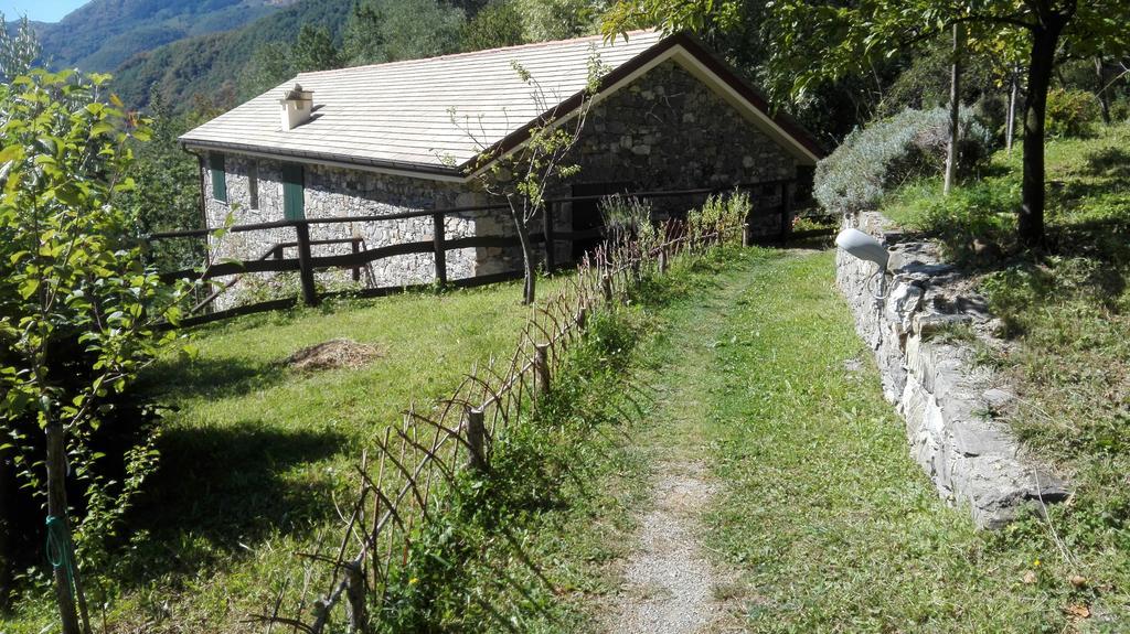 Agriturismo Il Mulino Stibiveri Ngoại thất bức ảnh